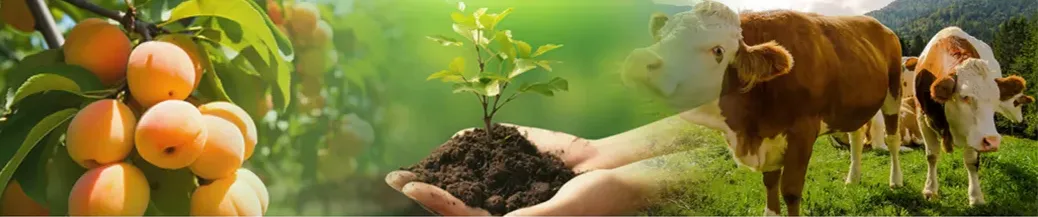 Potassium Humate Analysis