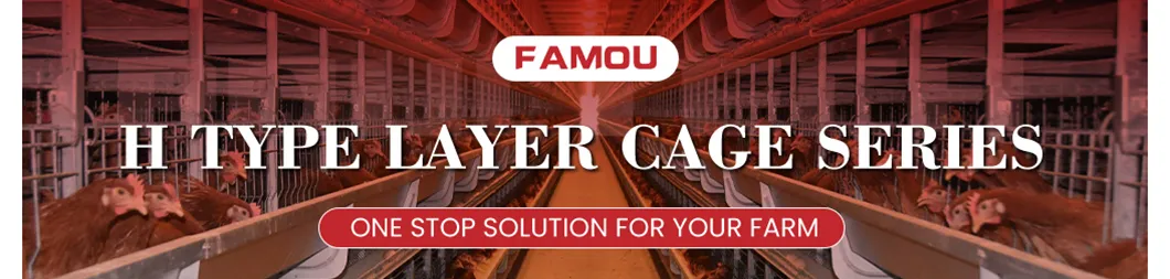 Poultry Farm Solution