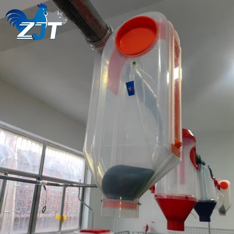 Advanced Automated Pig Feeding System for Pig Quantitative Cup Distributor