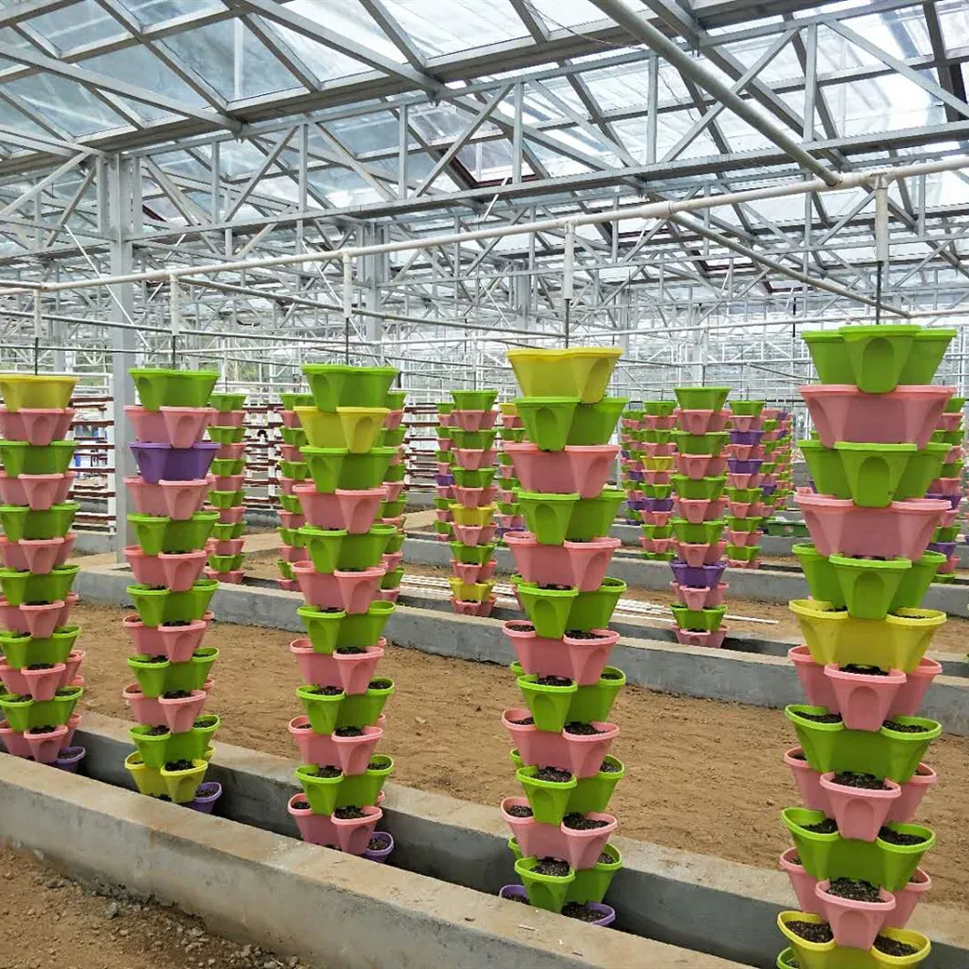 Hydroponics System 5