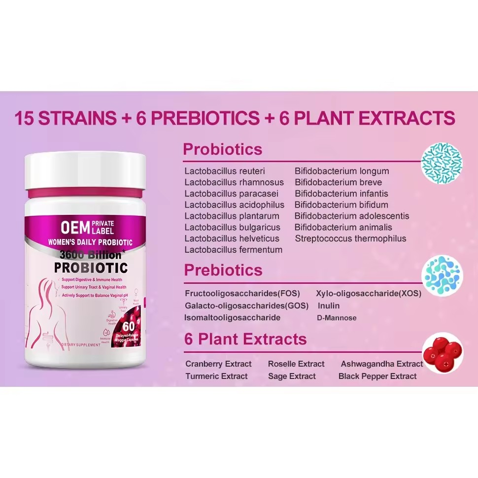 OEM/ODM Women's Probiotic Capsules Prebiotics Digestive Enzymes Supplement for Support Immune Health Gut and Vaginal