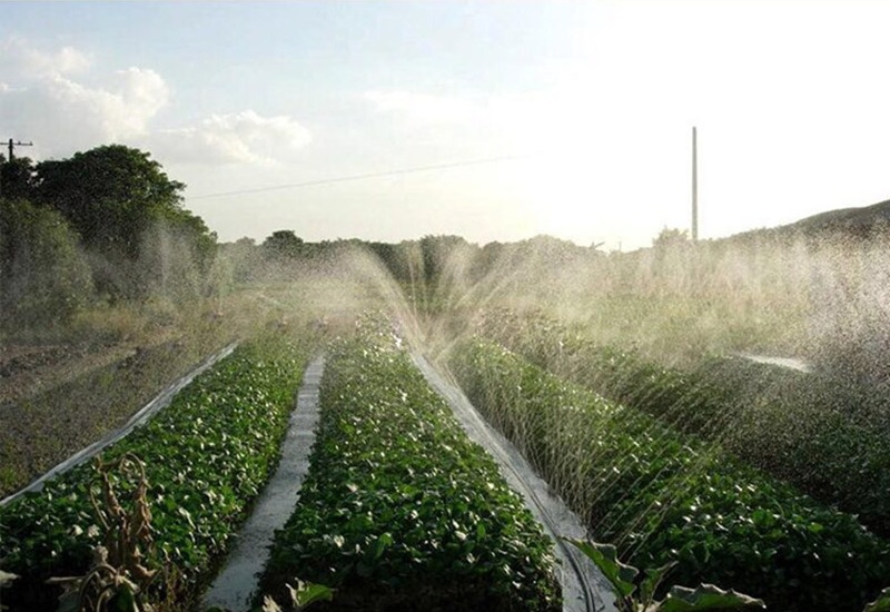 High-Quality Drip Tape for Sustainable Agriculture and Landscaping