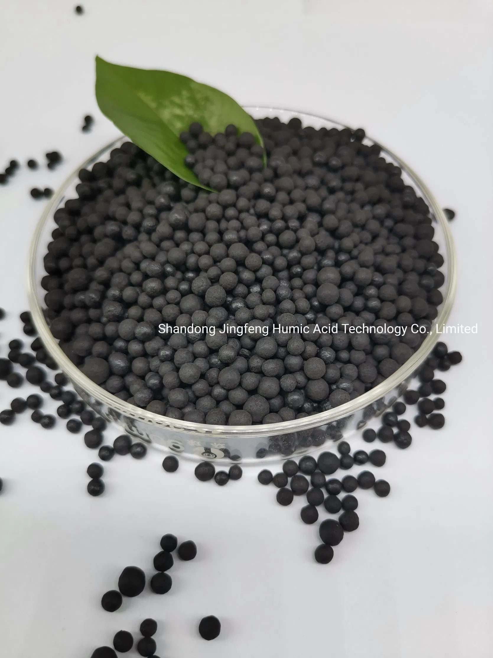Micro Nutrient Humate NPK Granule High Purity Leonardite Extracted Humic Acid Organic Fertilizer