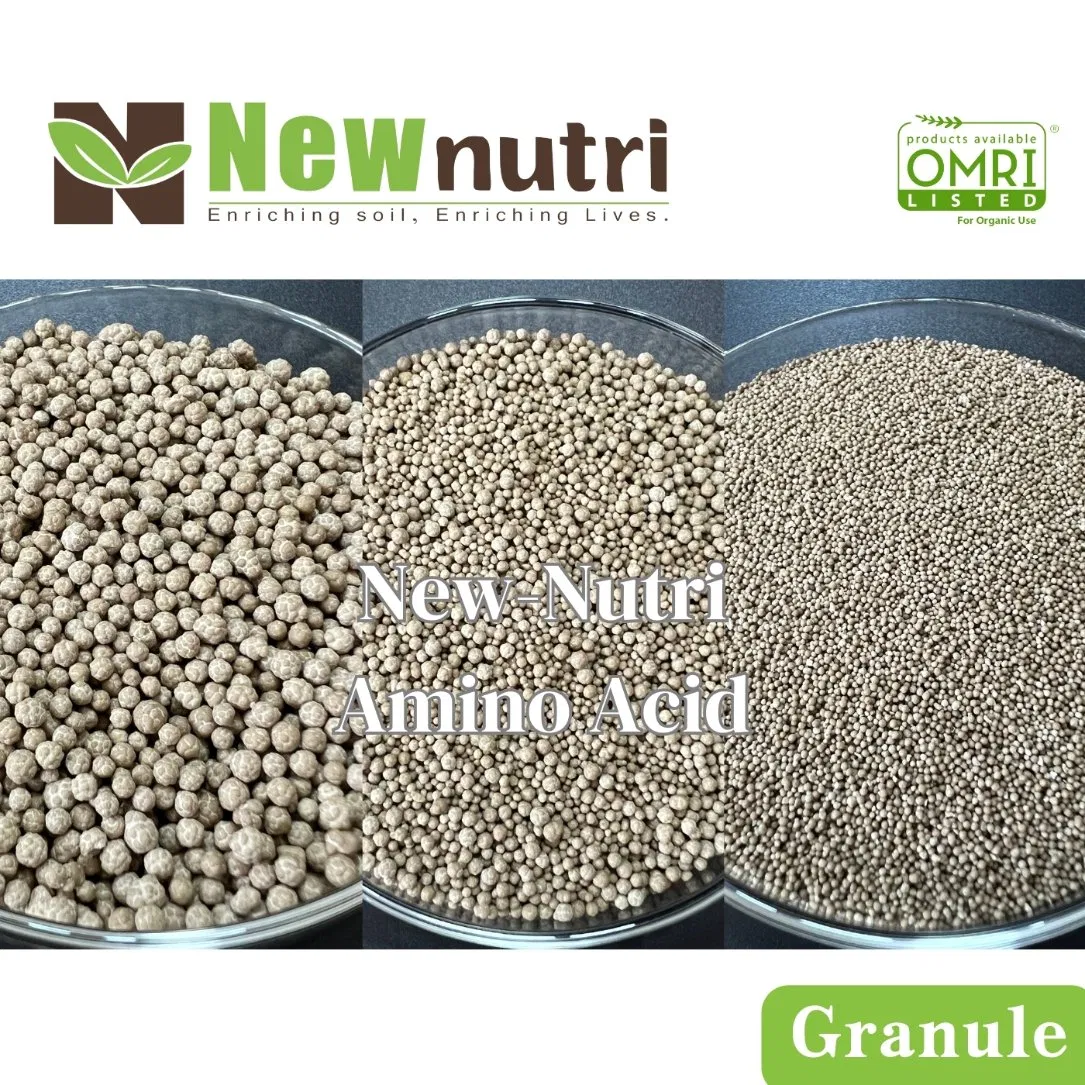 Amino Acid-Based Plant Nutrition for Rapid Growth and Stress Resistance