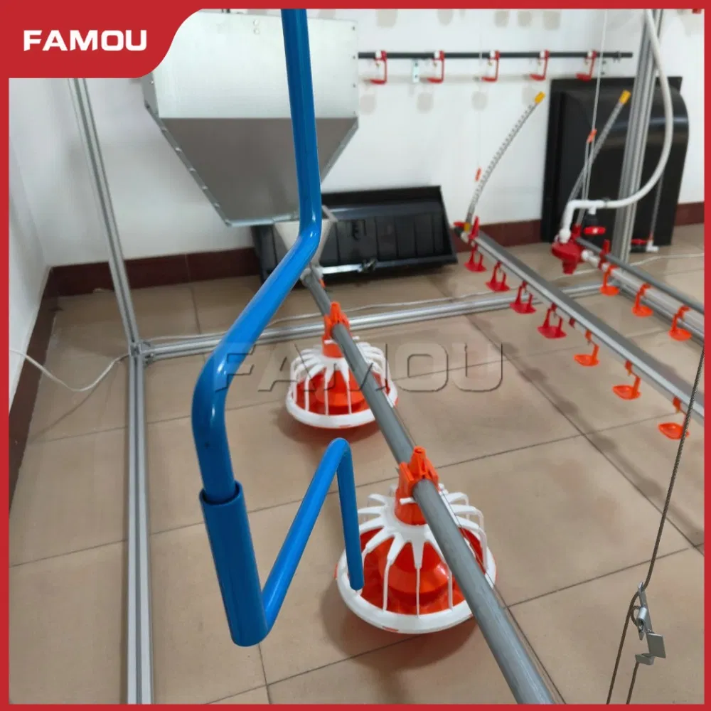 Efficient Poultry Broiler Floor Raising Using Automatic Feeding System