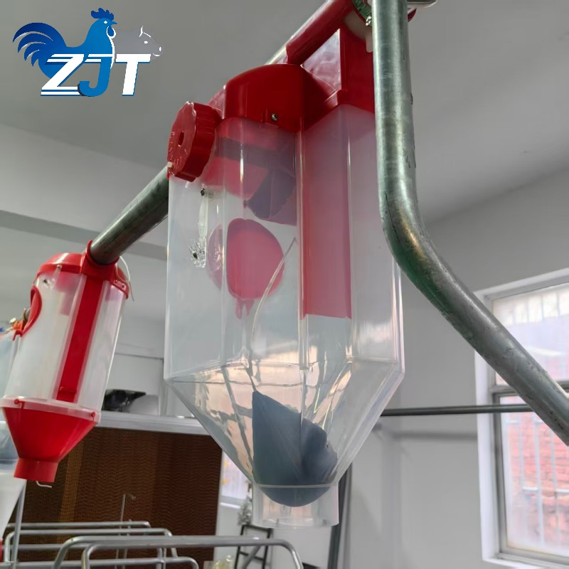 Advanced Automatic Feeding System for Farm Pigs with Precision Distribution