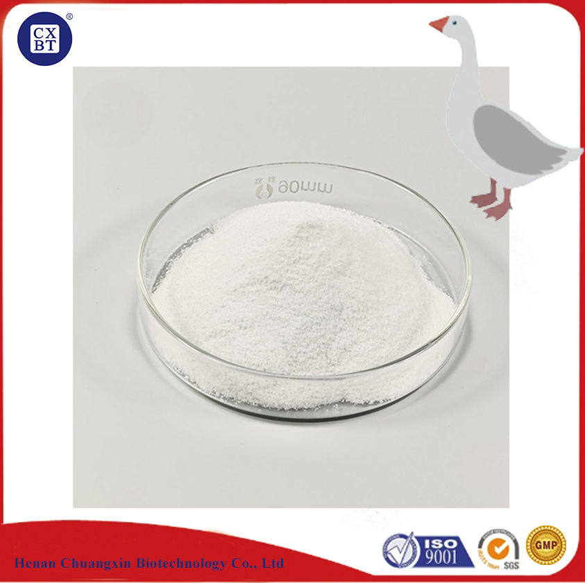 Premium 18% DCP Animal Feed for Healthy Livestock Growth