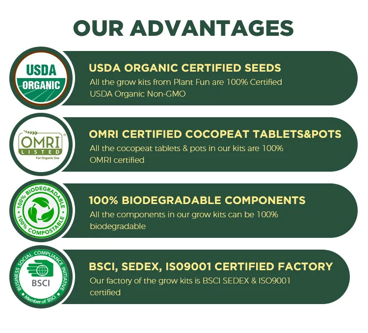 Competitive Advantages