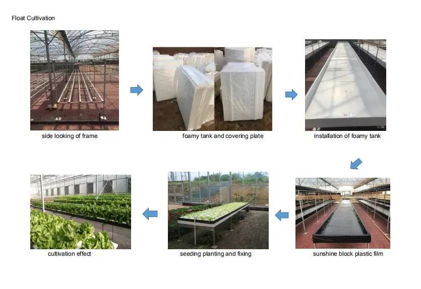 Float Cultivation System
