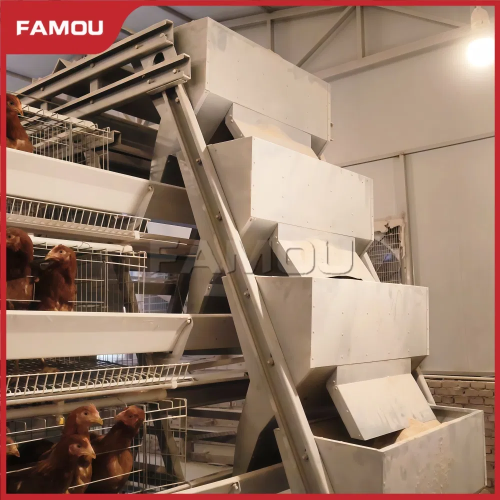 Innovative Type Layer Chicken Cage for Modern Poultry Operations