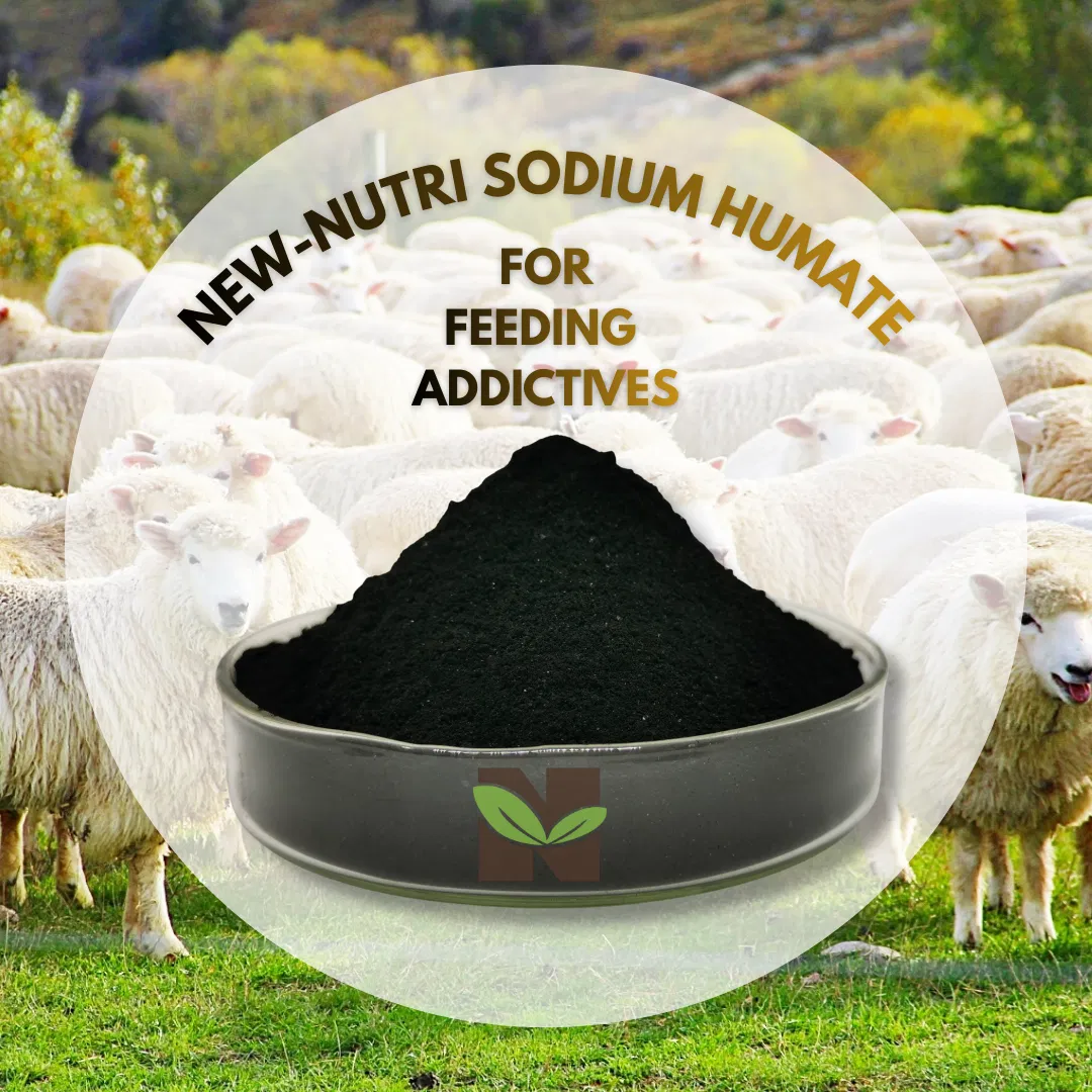 Natural Sodium Humate Bio Organic Fertilizer for Livestock and Poultry Feeding Solutions