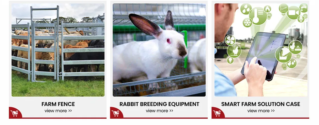 Feeding System Detail 2