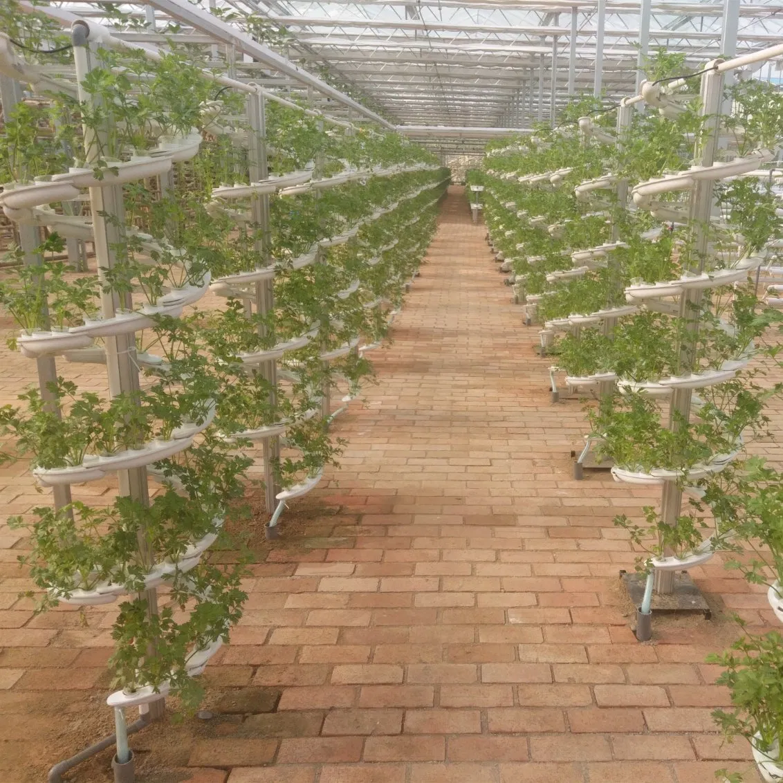 Customized Aquaponic Vertical Leafy Vegetable Hydroponics for Promotion