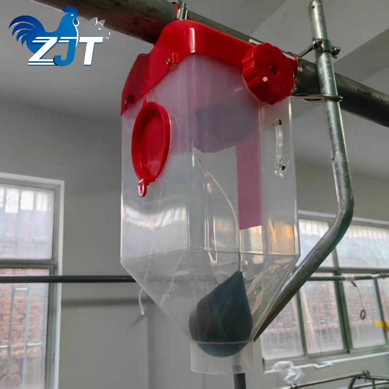 a Quantitative Cup-Type Automatic Pig Feeding System for Pigs