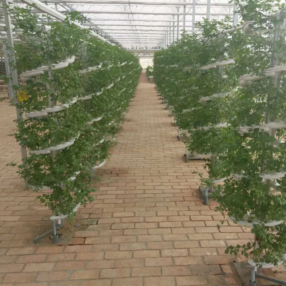 Hydroponics System 1