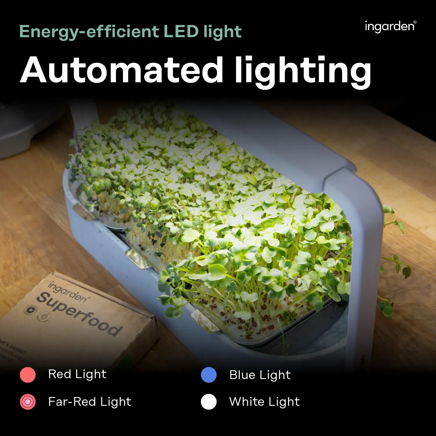 Ingarden Microgreen Growing Kit with Organic Superfood Sprouting Seed Pad Auto 4stage LED Grow Light Hydroponic Watering System Chic Upcycled Ocean Plastic Bowl