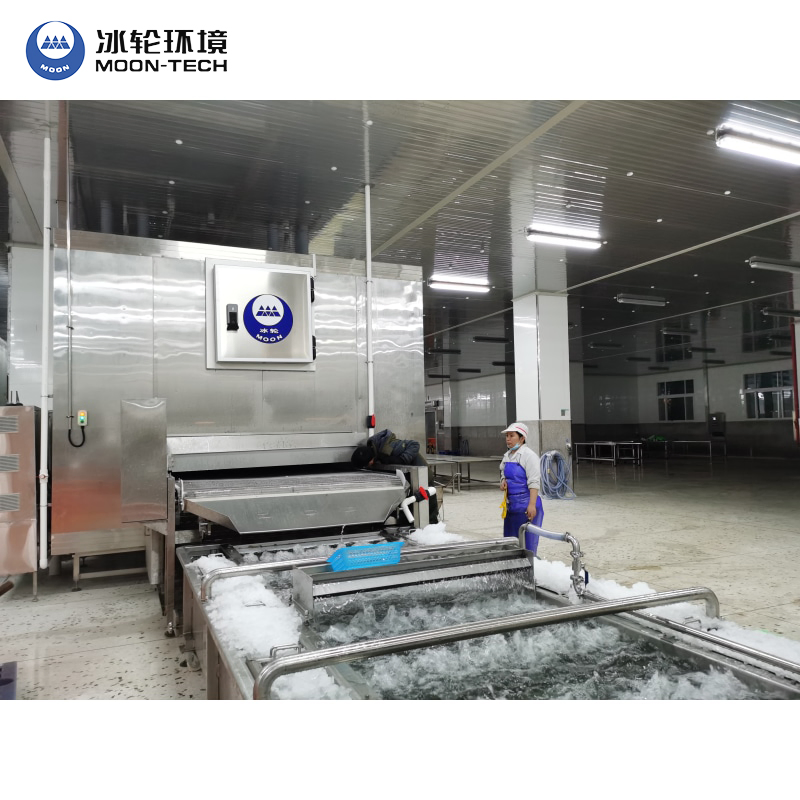 Practical Hot Sale IQF Quick Freezing Equipment Price Mesh/Plate Belt Tunnel Freezer for Seafood Processing Fish, Shrimp, Shellfish