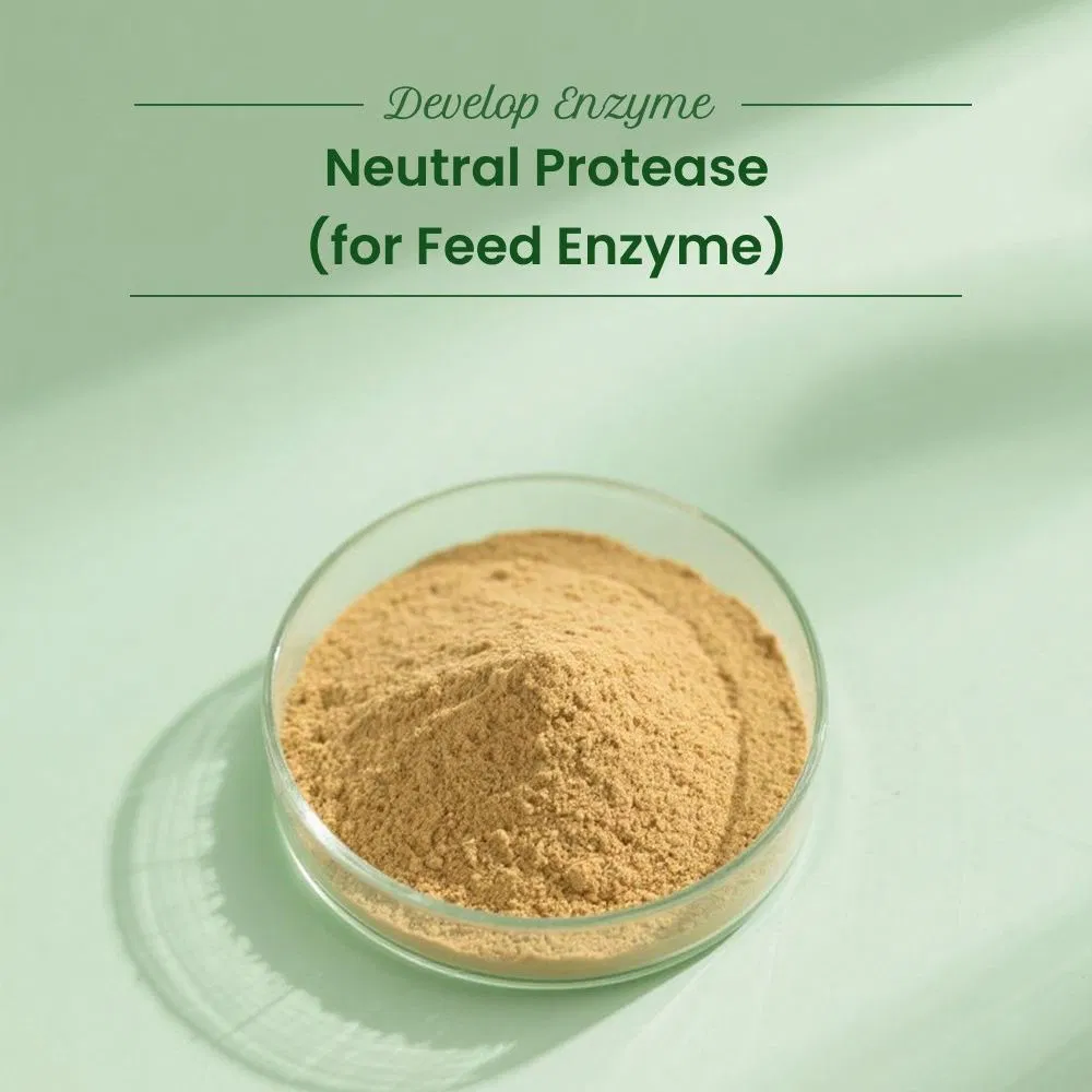 Powder Feed Grade Neutral Protease Enzyme Improve Protein Utilization and Animal Growth