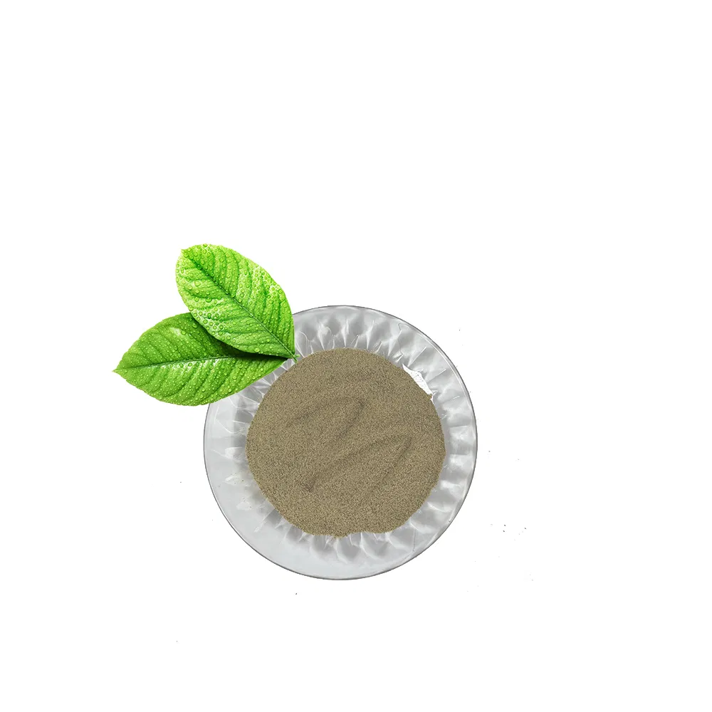 Mycoprotein 65% for Sustainable Ruminant Feed Solutions