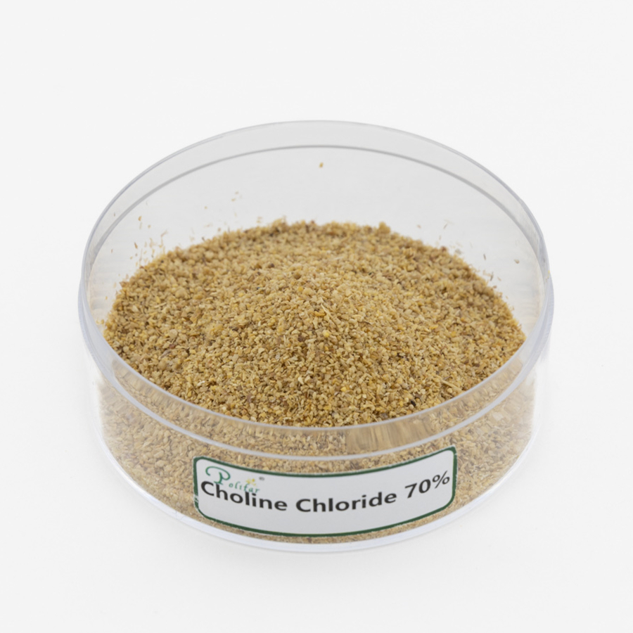 Choline Chloride 60%-75% Optimize Animal Feed for Growth and Reproduction