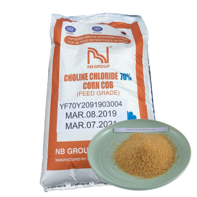 Choline Chloride 60%-75% Optimize Animal Feed for Growth and Reproduction