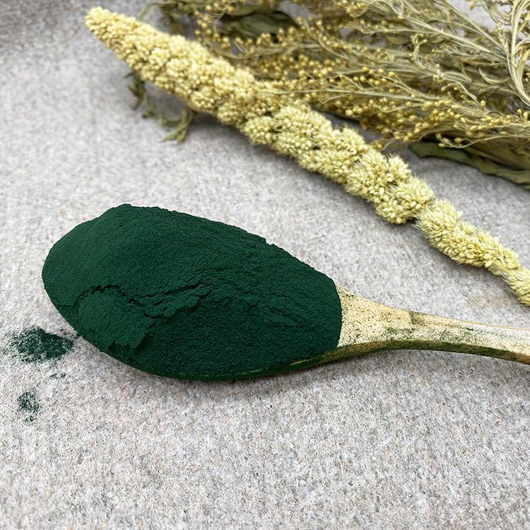 Food-Grade Microalgae Protein, Natural Chlorophyll Colorant, Plant Protein Nutrition-Enhancing Raw Material