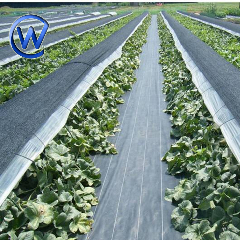 Durable Agricultural Weed Barrier Fabric for Soil Health