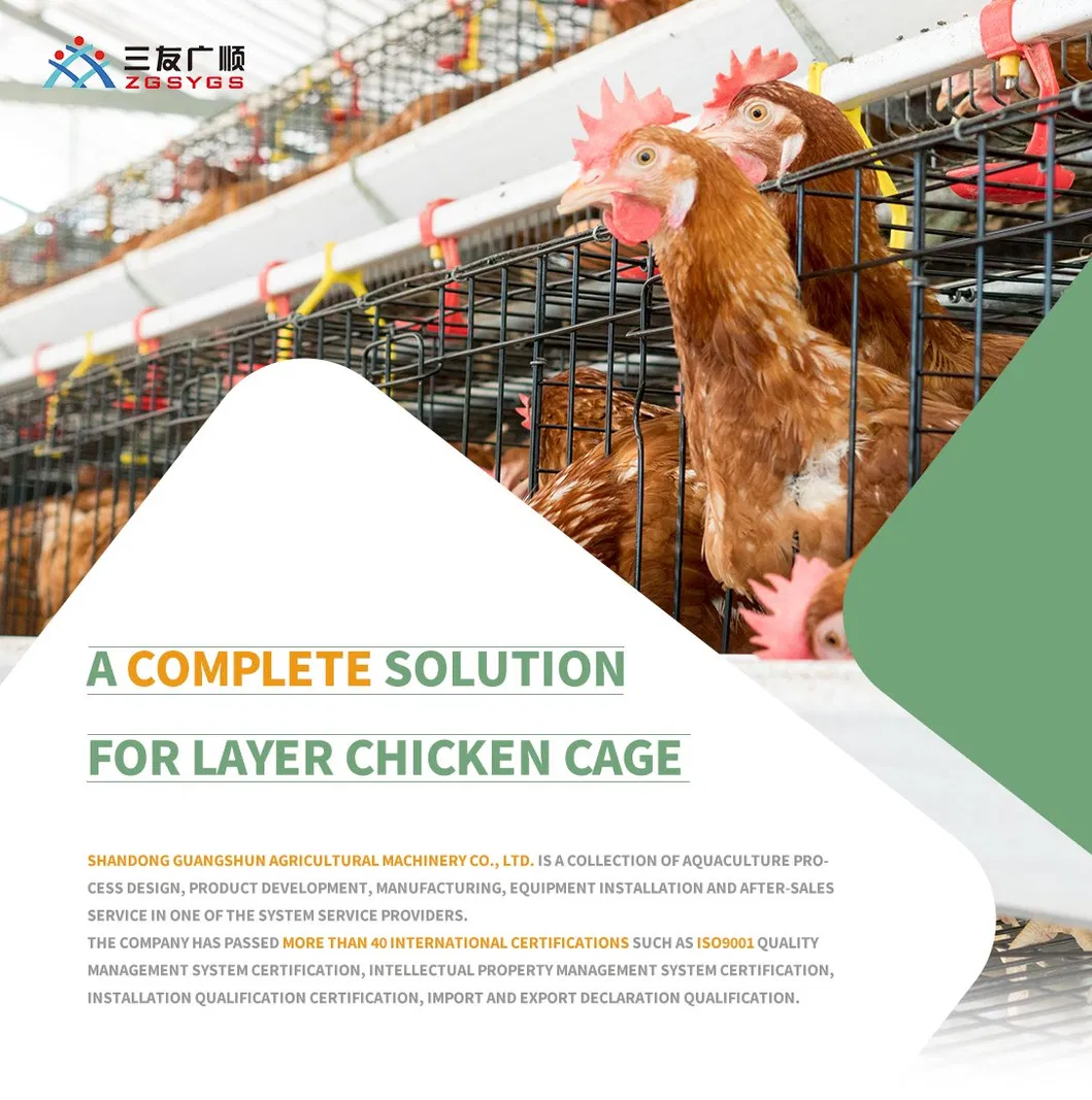 Chicken Automatic Poultry System