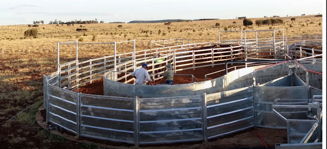 Livestock System Application