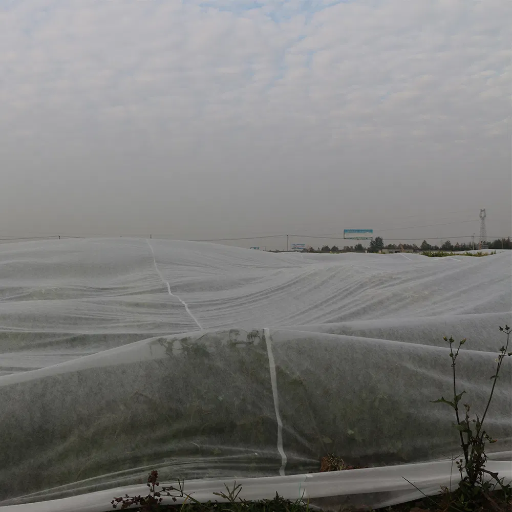 Premium Spunbond Nonwoven Fabric for Sustainable Agriculture Solutions