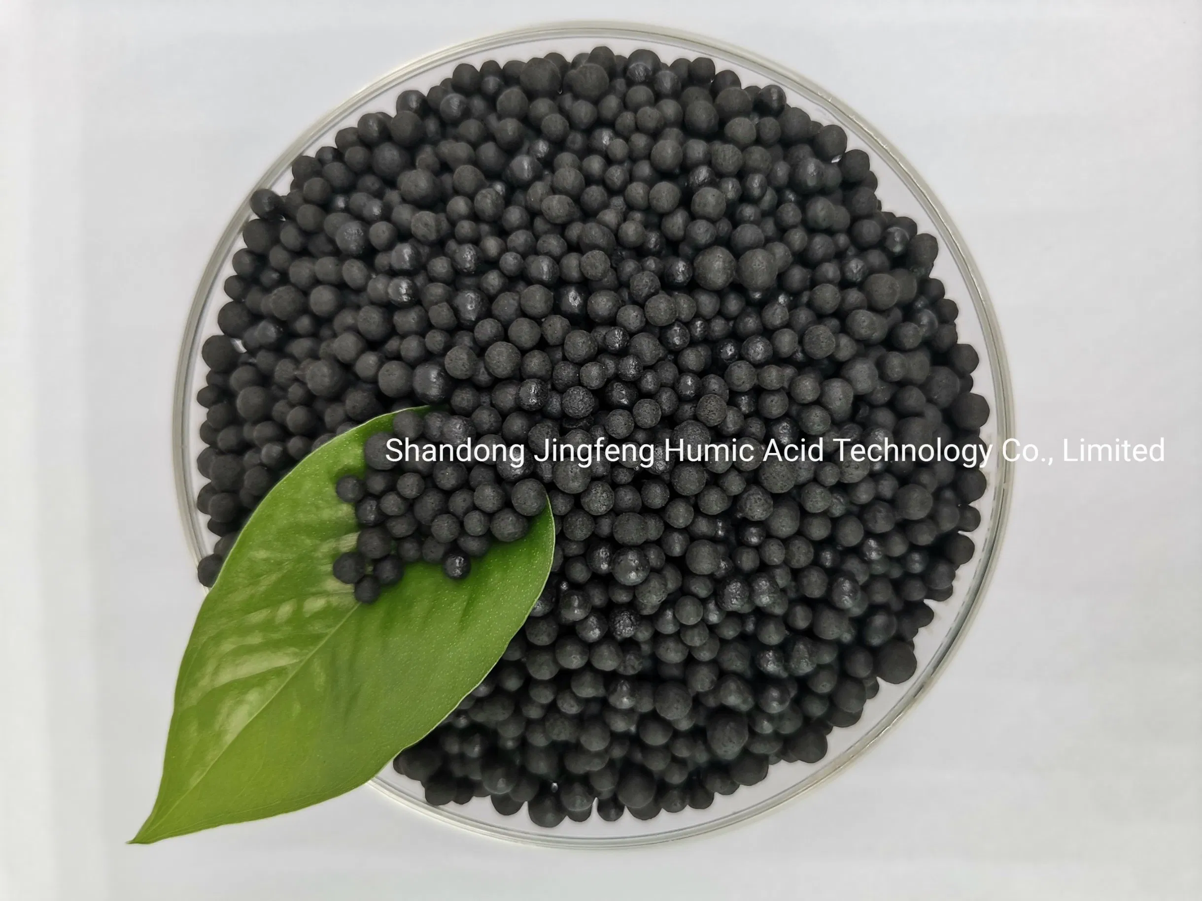 Granules Compound Organic Phosphate NPK DAP Humic Amino Lysine Fertilizer Granule