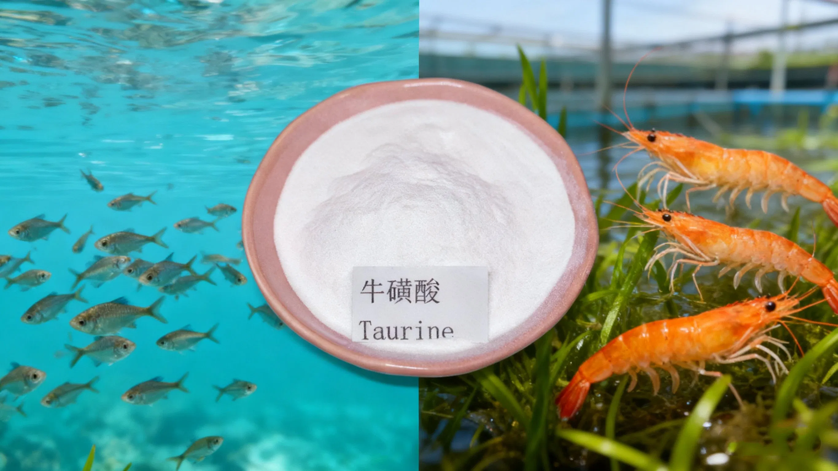 Feed Grade Taurine Amino Acid Powder for Pet Food Aquaculture Livestock Nutrition