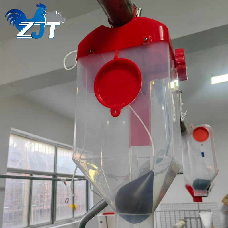 a Quantitative Cup-Type Automatic Pig Feeding System for Pigs