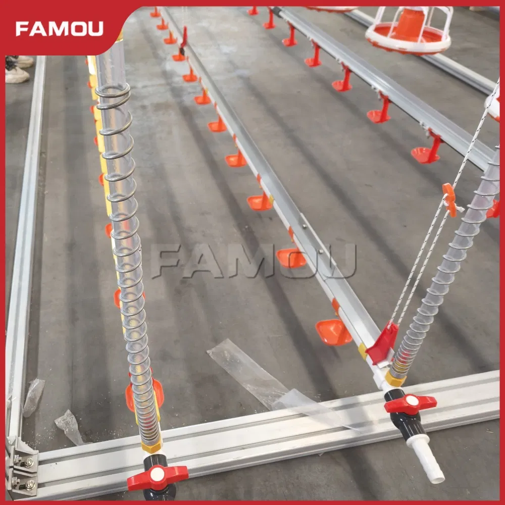 Efficient Poultry Broiler Floor Raising Using Automatic Feeding System