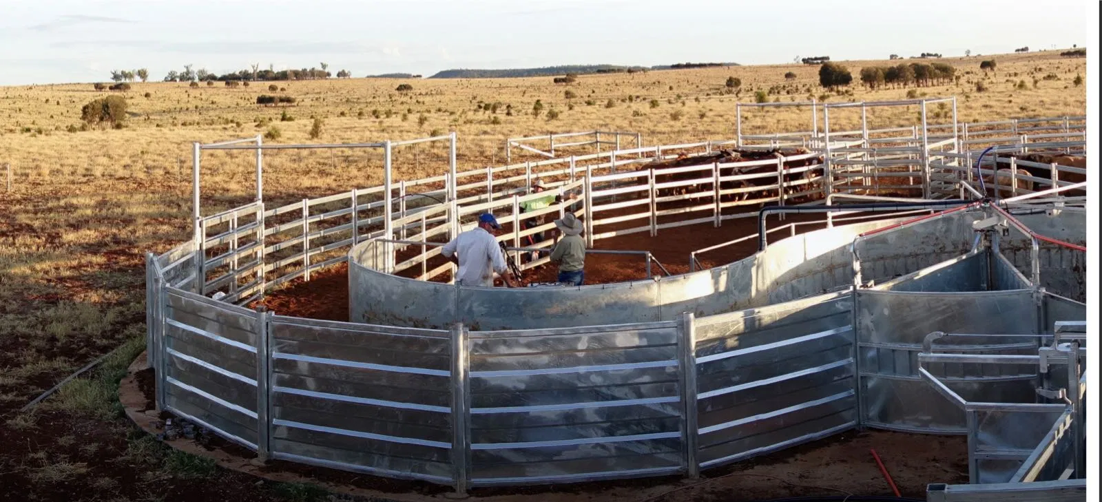 Hot Dipped Galvanized Sheep/Cattle/Goat/Horse Yard Sorting System Panel Yard