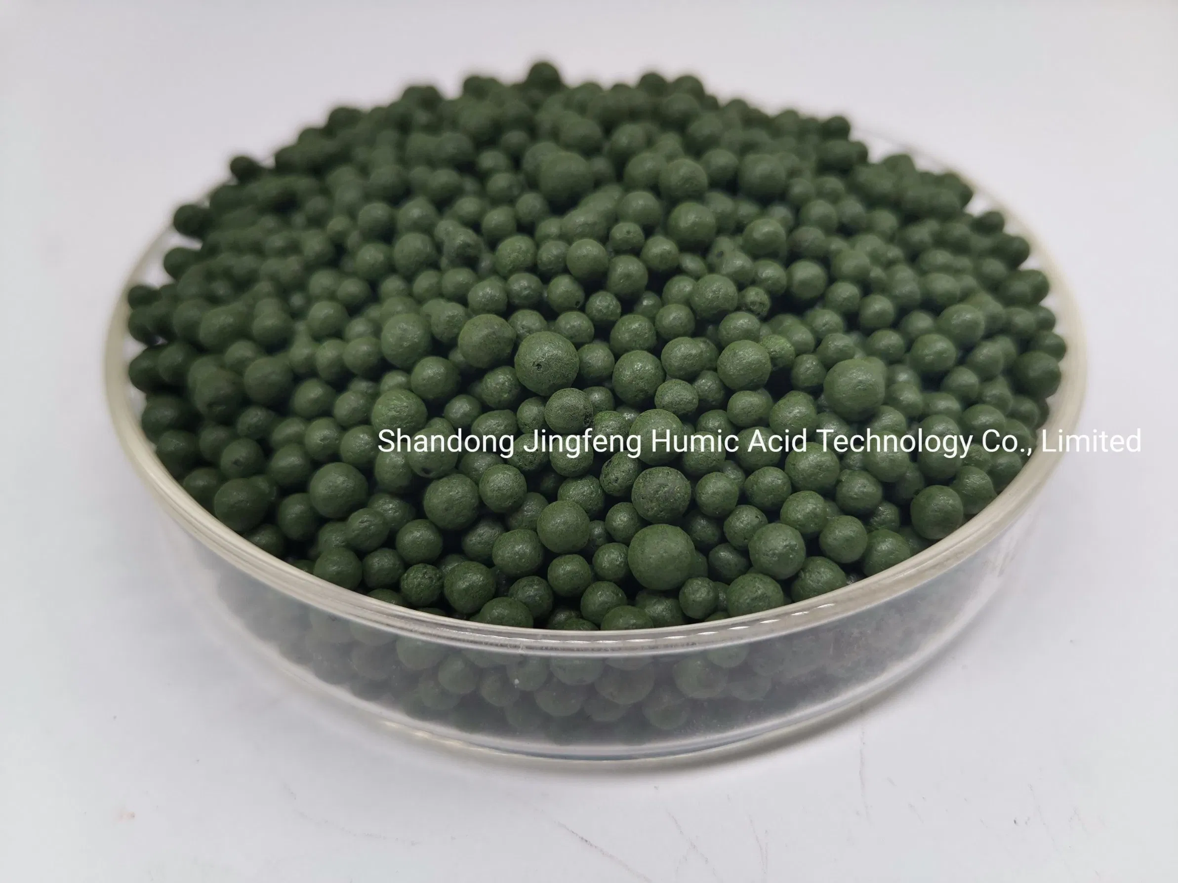 Granules Compound Organic Phosphate NPK DAP Humic Amino Lysine Fertilizer Granule