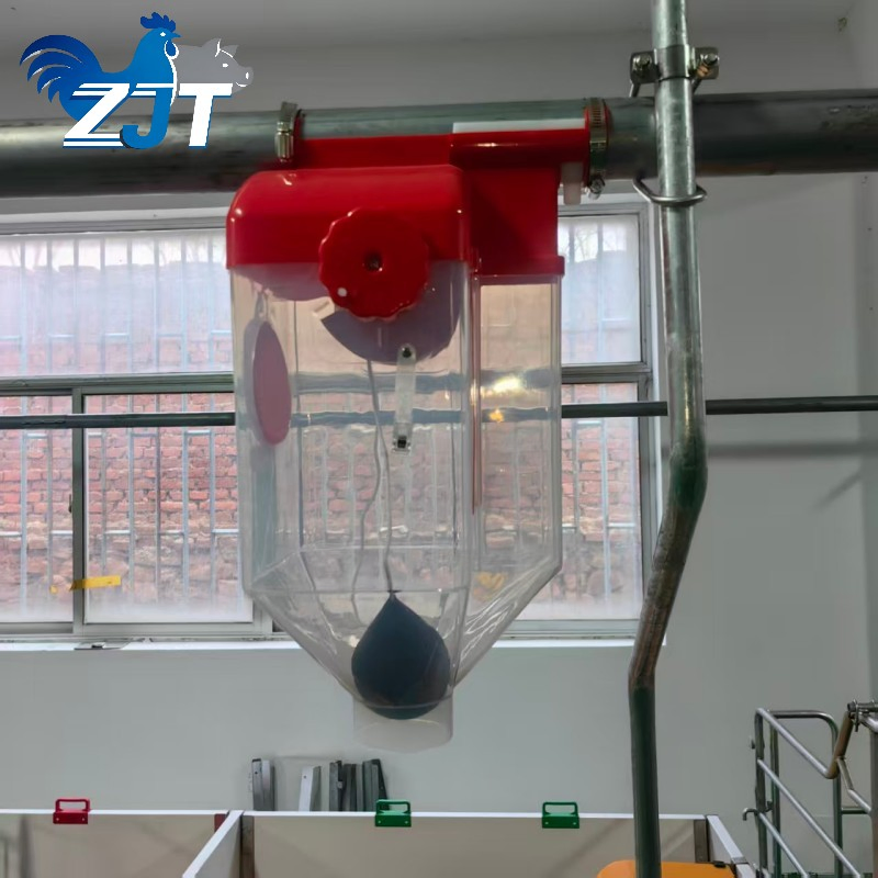 Advanced Automatic Feeding System for Farm Pigs with Precision Distribution