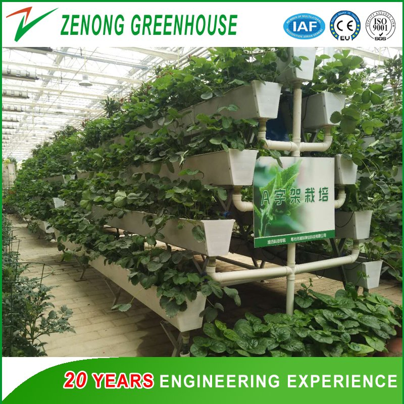 Greenhouse Hydroponics/a-Frame Structure Hydroponic Systems for Leafy Vegetables