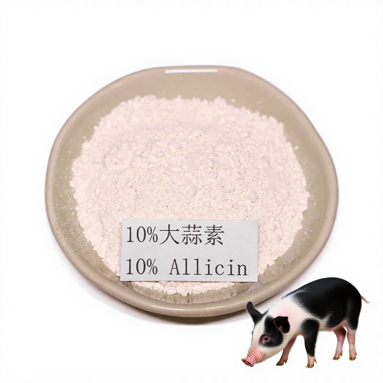 Pigs Use Allicin to Promote Digestion, Resist Viruses, and Enhance The Immune System of Fattening Piglets