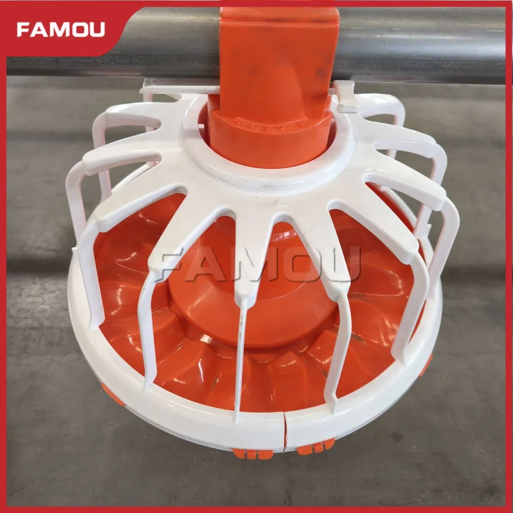 Floor Breeder System Equipment for Poultry Broiler Floor Raising and Growth Optimization