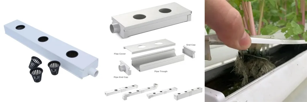 Hydroponic System Overview