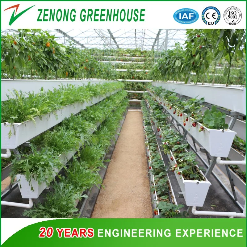 Greenhouse Hydroponics/a-Frame Structure Hydroponic Systems for Leafy Vegetables