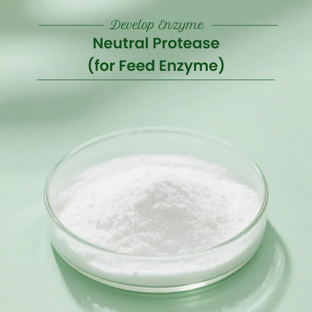 Feed Grade Neutral Protease Enzyme Improve Protein Utilization and Animal Growth