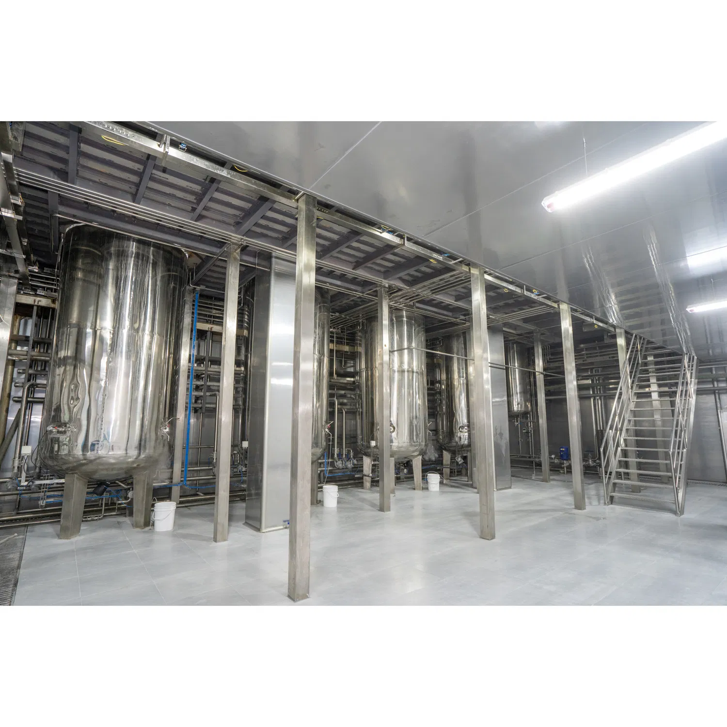 Bacillus Coagulans King Probiotic Spore Probiotic Boost Immunity Athletic Nutrition