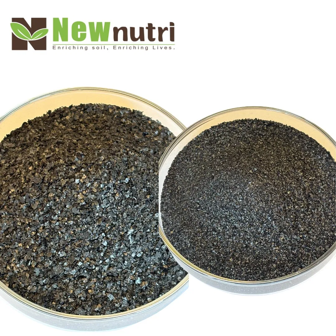 Organic Sodium Humate Flakes for Sustainable Aquaculture Feeding Nutritional Support