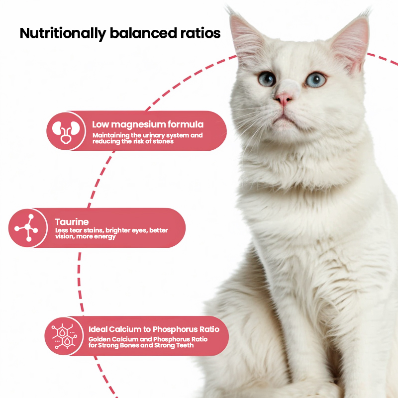 Science Diet Special Cat Food Dry High Protein Low Carb Freeze Dried Food Cats High Quality Cat Food Customization