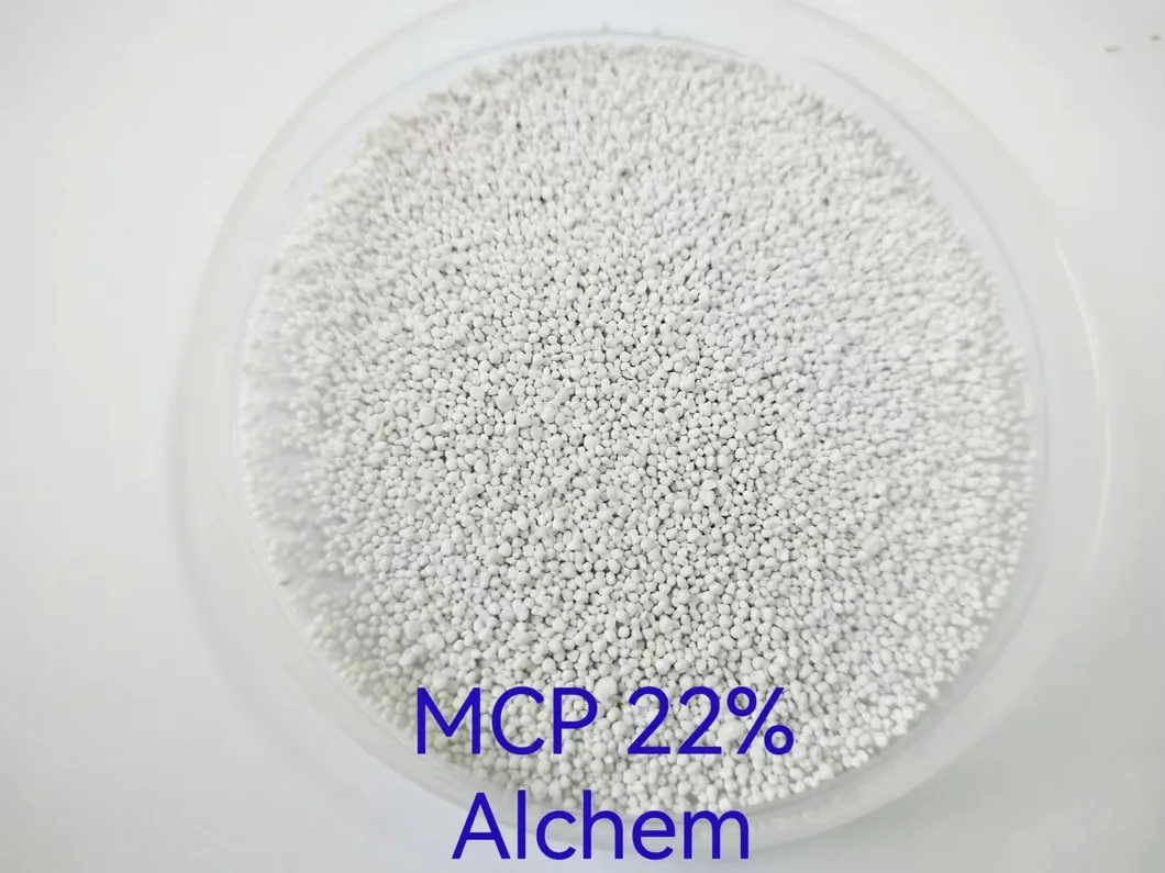 Detailed Product View