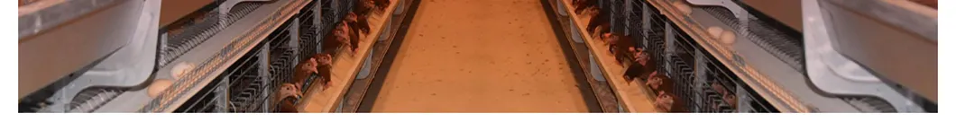 Advanced Poultry Cage