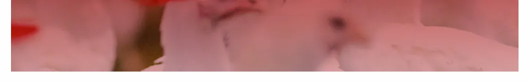 Livestock Nutrition Equipment