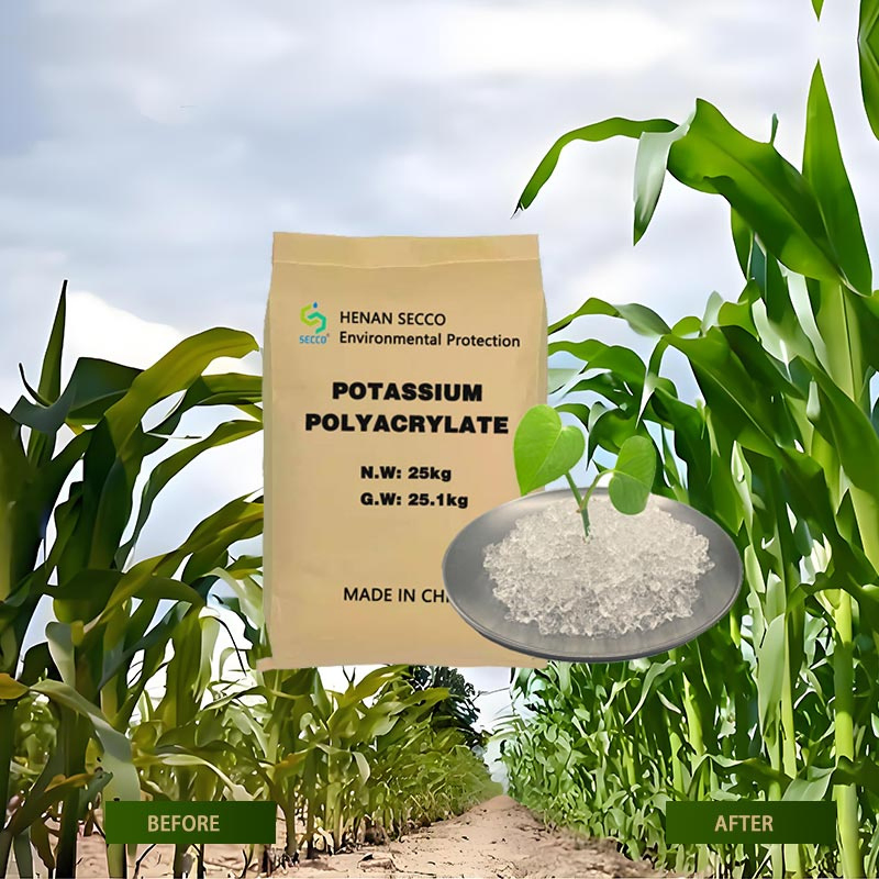 Eco Friendly Super Absorbent Polymer Sustainable Agriculture Potassium Polyacrylate